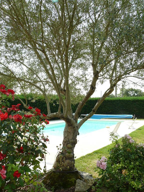 Le Clos De La Vigne Montreuil  Exterior foto